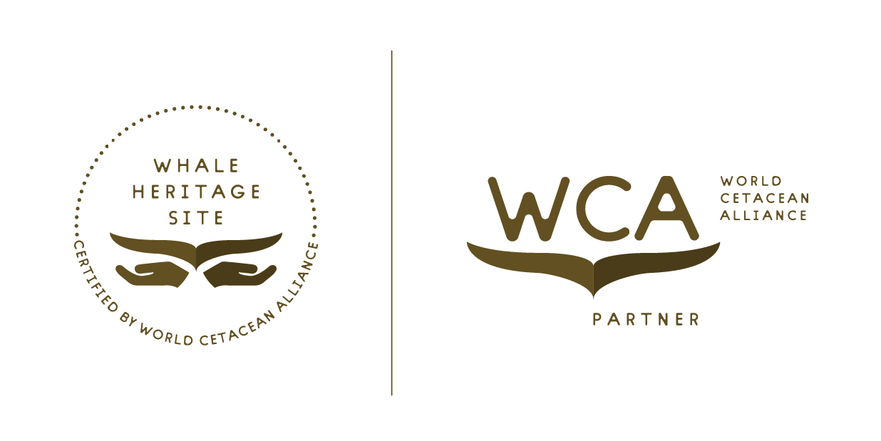 WCA Partners